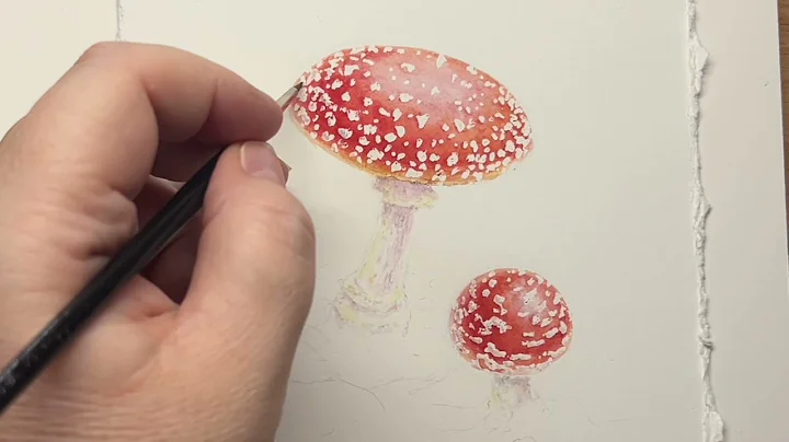 Fly Agaric, Amanita muscaria. Free mini tutorial