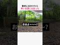 散歩に出かけたら怖い友達に出会った猫w