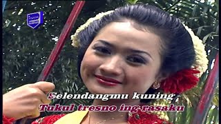 Wagiran Pratama - Putri Ayu Ponorogo ( Musik Video)