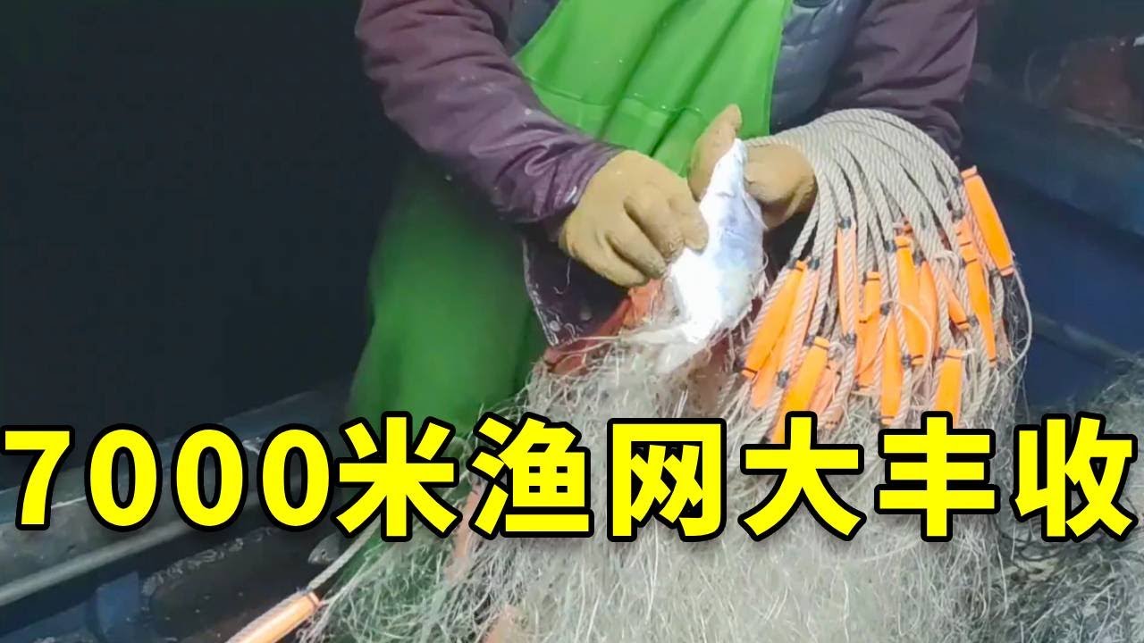 用7000米网把小岛围起来，抓到的不是鲷鱼就是黄鸡，这下赚大了！