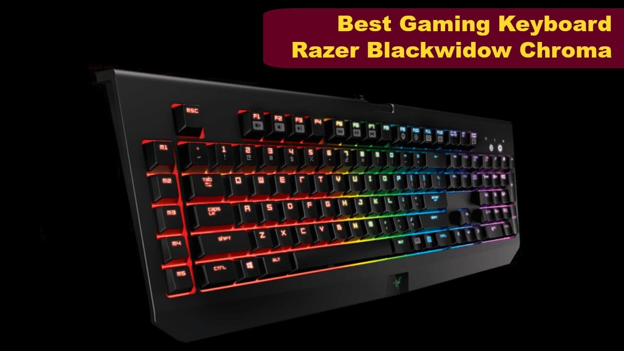 Nice Best Gaming Keyboards Razer for Gamers