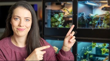 My FAVORITE Reptile Enclosures! BlackBox Cages Review
