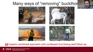 Removing Buckthorn and Fortifying Forests with Native Plants. April 21, 2026 by Dr. Michael Schuster