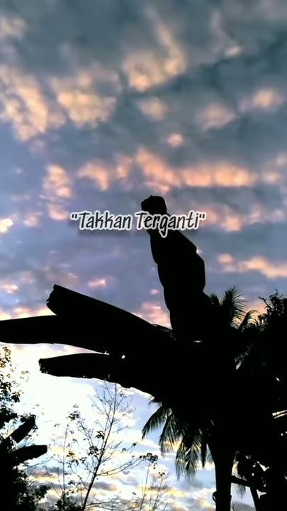 Status WhatsApp 30detik(TAKKAN TERGANTI)