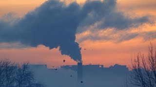 С помощью лобби нефтегазовый сектор ЕС "оптимизирует" свои налоги
