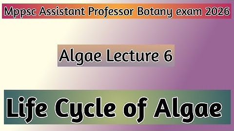 Algae Lecture 6 | Life cycle of algae | mppsc assistant professor botany exam 2026