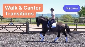 Walk & Canter Transitions with Emily Harris