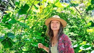 From Jungle to Feast: Touring Our Crazy Late Summer Garden