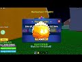 All new working fruit codes on blox fruits in may 2024 roblox