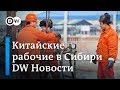 Китайские гастарбайтеры в Сибири: чего боятся в Омской области. DW Новости (20.03.2019)