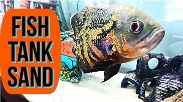 Using Pool Filter Sand in a Fish Tank Aquarium with Cichilds