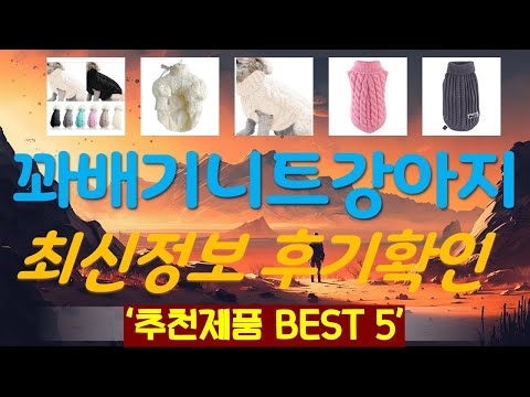 꽈배기니트강아지 추천, 파격특가 할인정보 가성비 TOP5