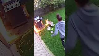 Husky Saves Baby from Kitchen Fire 🔥🐶 – Incredible Animal Rescue