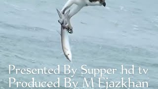 Documentary ll Presented By supper hd tv ll Producer M Ejazkhan ll