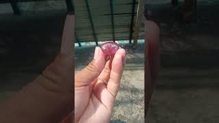 Batu Ruby terlangka dan termahal di dunia. price $ 3 m USD ... 😱😁👍💞