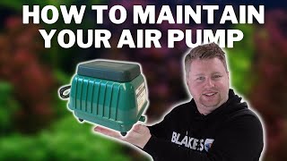 How to Maintain an Aquarium Air Pump - Resun LP-60 Maintenance