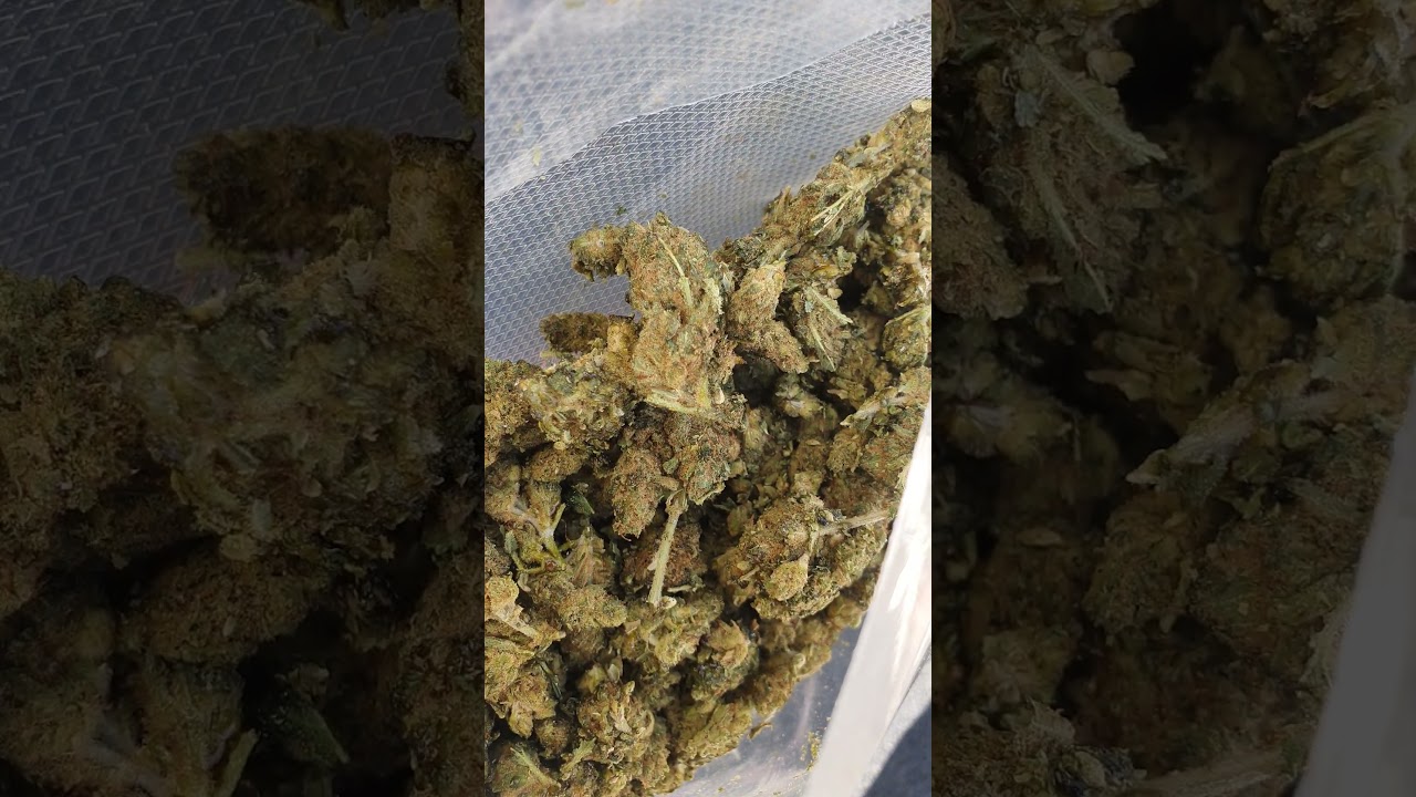 Forbidden Muffin HHC 50%