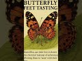 #butterfly #funfacts #science #biology #nature #mysteries