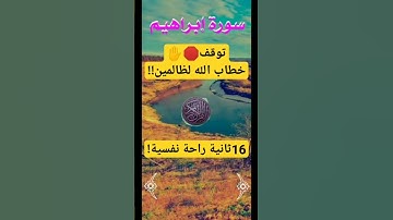 ولاتحسبن الله غافلاً عما يعمل الظالمون__--تلاوة تقشعر لها الأبدان__--#_قرآن_لاتنسى_الإشتراك 😌😌🤤
