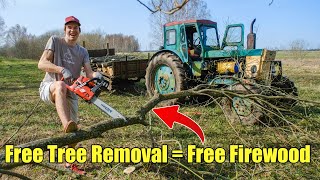 This FIREWOOD is going to SAVE us big! by Do & Be Different Farmily 12,151 views 1 month ago 16 minutes