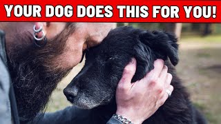 9 Shocking Things Your Dog Does for You Every Day (Most Dog Owners Don't Notice This!!!)