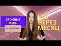 КАК СДАТЬ ЕГЭ ПО ОБЩЕСТВУ - 2020// практические советы по подготовке за месяц "до"