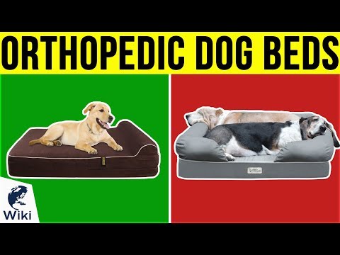 10-best-orthopedic-dog-beds-2019