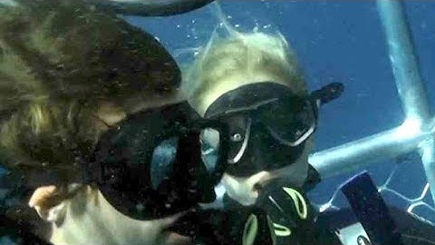 この後、サメだらけの海に投げ出され漂流するはめに…／映画『ケージ・ダイブ』予告編