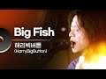 해리빅버튼(HarryBigButton) - Big Fish | 문화콘서트 난장 20231109 방송