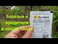 Обработка сада в мае. Препараты от вредителей и болезней.