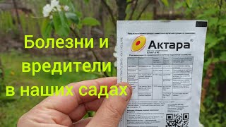 Обработка сада в мае. Препараты от вредителей и болезней.