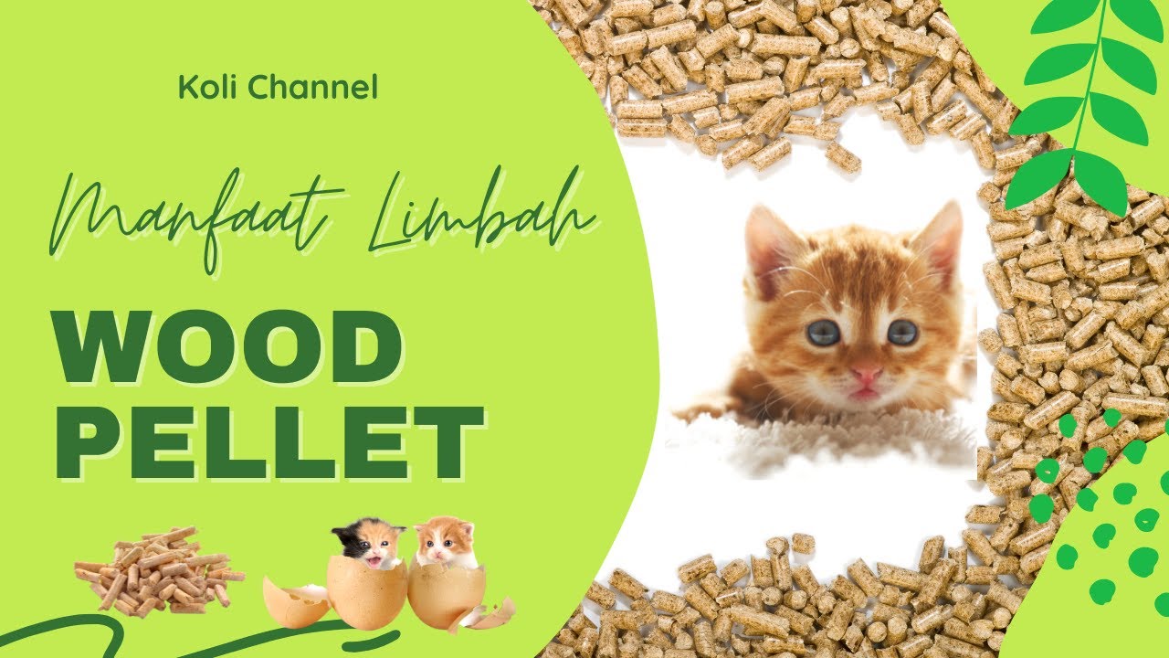 Manfaat Wood Pellet Dan Limbahnya Sebagai Pupuk Bagi Tanaman - YouTube