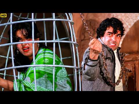 धर्मेंद्र की सबसे खतरनाक लड़ाई क्या बचा पाएगा अपनी पत्नी को? | Dharmendra | Jayapradha | Movie Scene