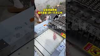 Bone chopper" "Bone cutter" "Fully automatic bone chopper"