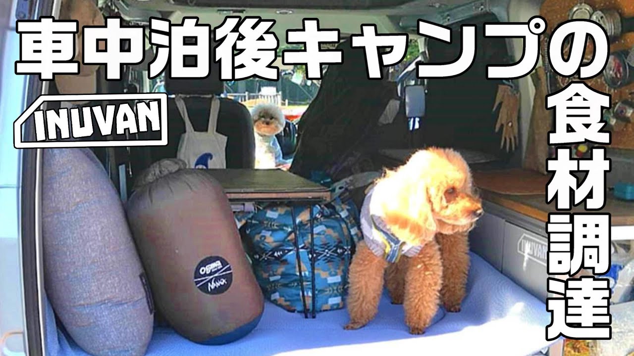 【車中泊】道の駅で車中泊後、朝メシ食べてキャンプの食材調達しました！ ｜那須高原 ｜｜INUVAN│キャンピングカー│バンライフ│NV200 │車中泊｜道の駅｜