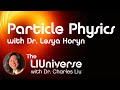 The liuniverse particle physics with dr lesya horyn