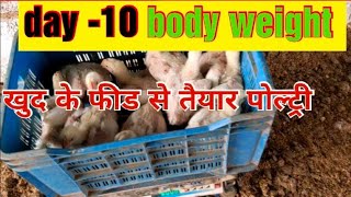 खुद का फीड का रिजल्ट देख लो live | day 10 complete