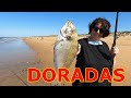 PESCA SURFCASTING DORADAS EN PLAYA ENEBRALES