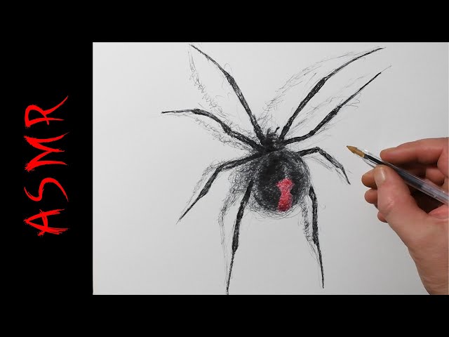 Aggregate 162+ spider sketch super hot