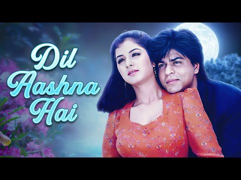 शाहरुख़ ख़ान और दिव्या भारती की FAMOUS मूवी | SRK & Divya | Dil Aashna Hai 4K Full Movie