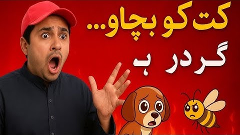 Save The Dog Game Level 43.Complete. #shorts #gameplay #shortsfeed #dogshorts #trendingshorts 