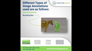 Different Types of Image Annotations : Learning Spiral Data Labeling Company