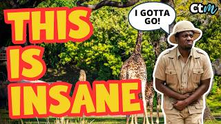 Unbelievable: Guest Exits Moving Safari Vehicle at Animal Kingdom To Relieve Thmeselves
