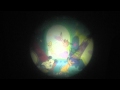 タカラトミー　ディズニーキャラクターズ　天井いっぱい!おやすみホームシアター「ファンタジードリーム」ディスク