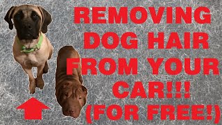 The secret to quickly removing dog hair from interior car seats and carpet (for free!) by Enigma Engineering 649 views 4 years ago 2 minutes, 9 seconds
