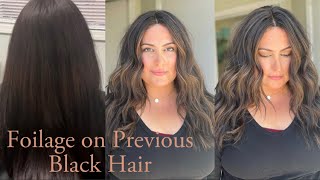 Foilage On Previous Black Colored Hair | Schwarzkopf | Redken Shades Eq