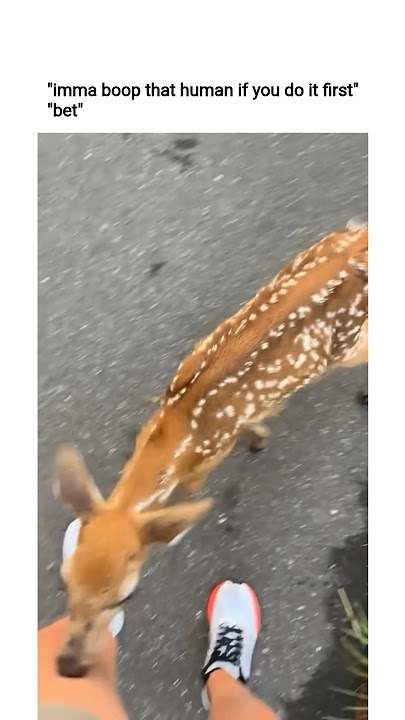 they dared each other #memes #funny #funnyclips #tiktok #reels #shorts