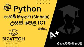 Python Programming Sinhala | Complete Beginner Guide | BizforTech Academy