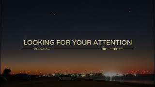Looking For Your Attention - Sture Zetterberg