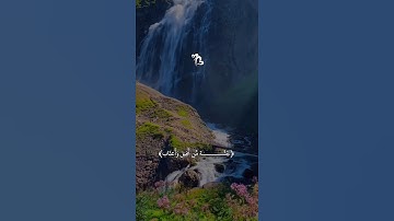 #القارئ عبدالرحمن مسعد 💚 #اكسبلور #quran #لايك